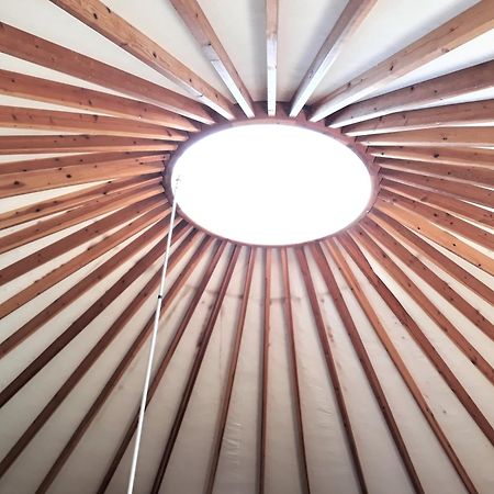 Camping le Pré Saint André Souvignargues Eksteriør billede
