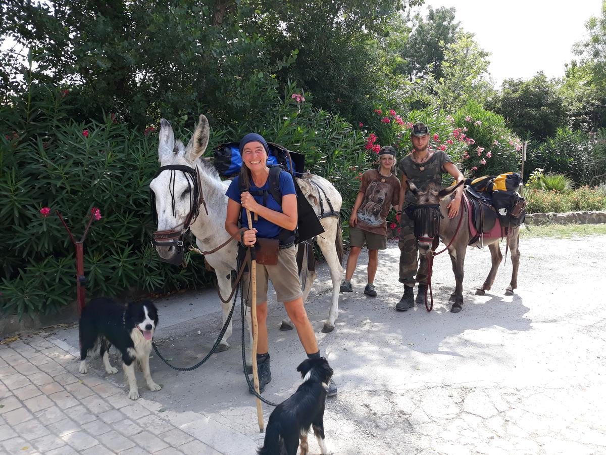 Camping le Pré Saint André Souvignargues Eksteriør billede